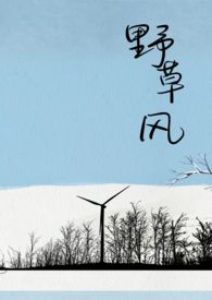 野草风格拍照